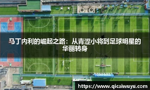 马丁内利的崛起之路：从青涩小将到足球明星的华丽转身